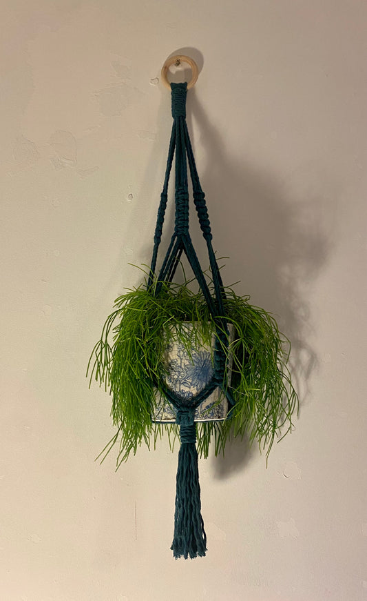 Teal Macramé Plant Hanger