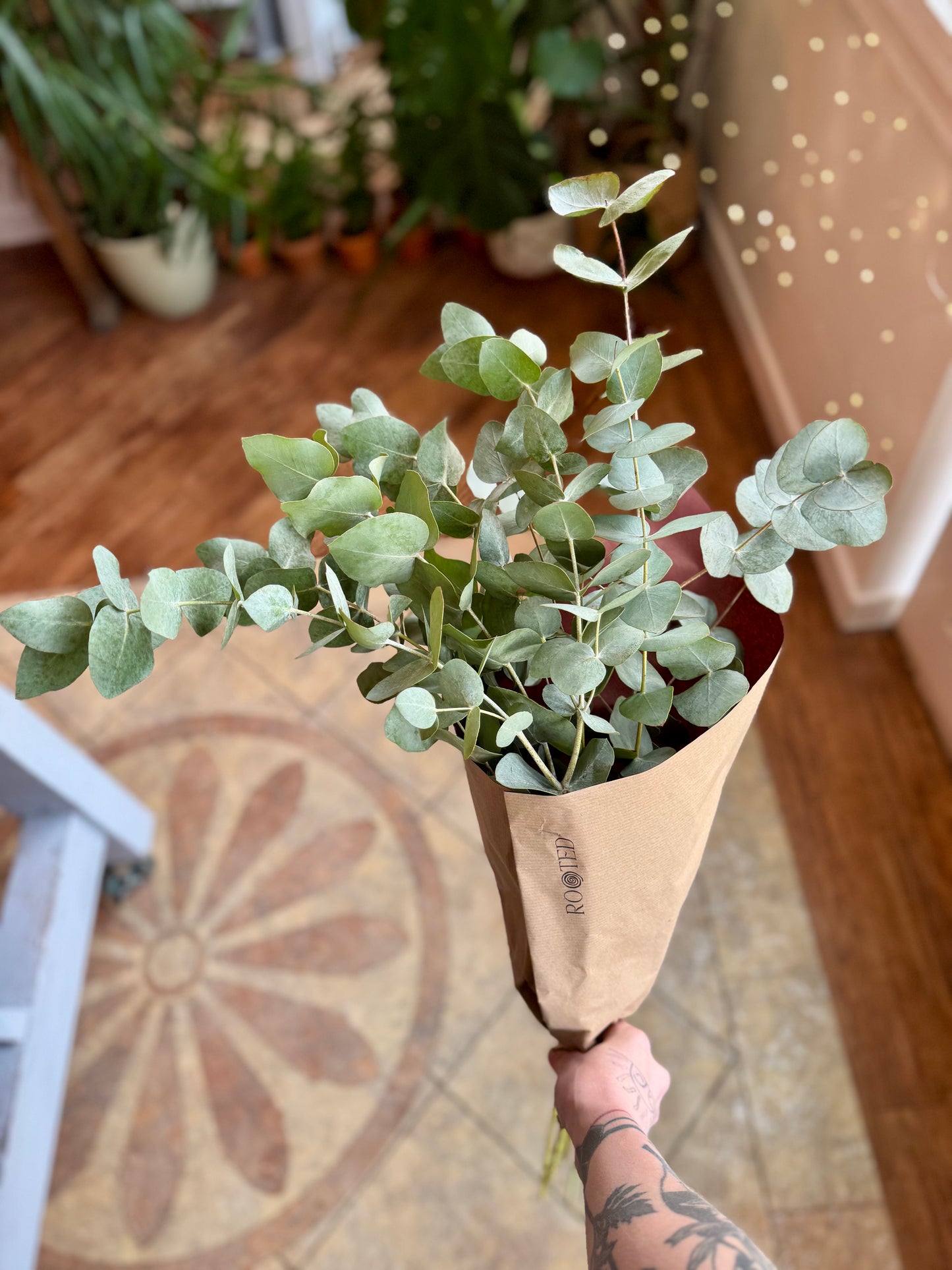 Fresh Eucalyptus Posy