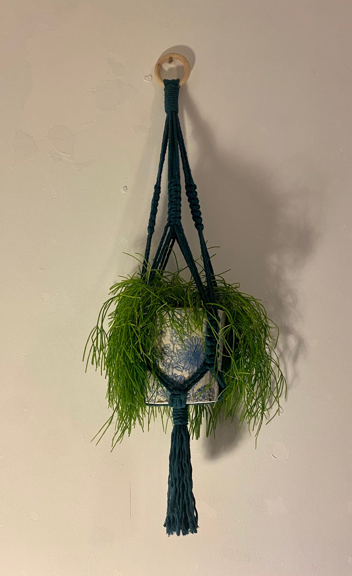 Teal Macramé Plant Hanger
