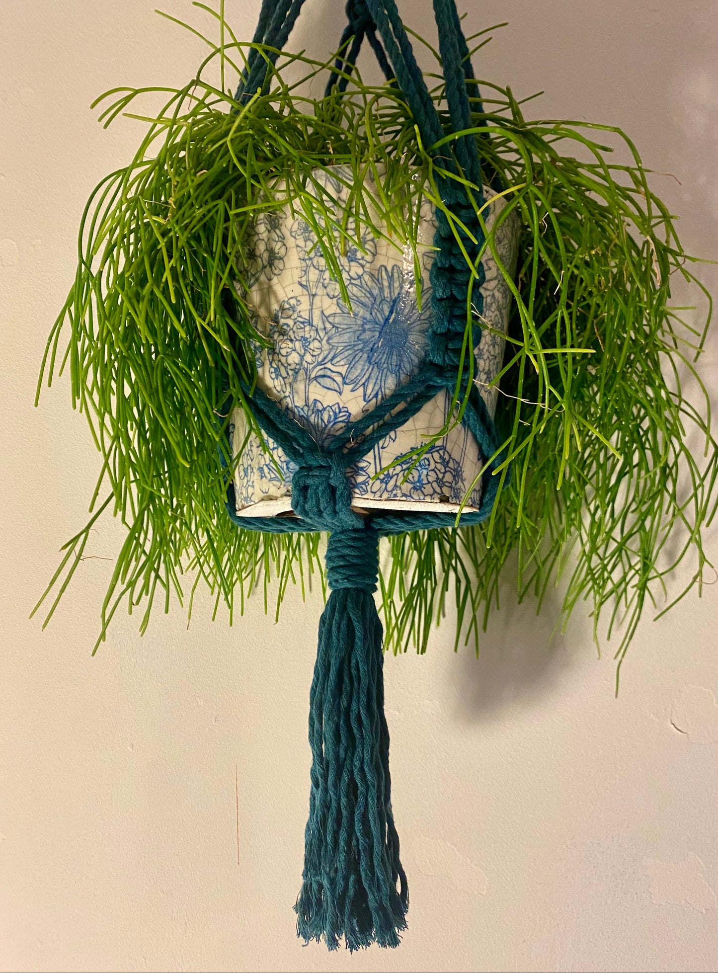 Teal Macramé Plant Hanger