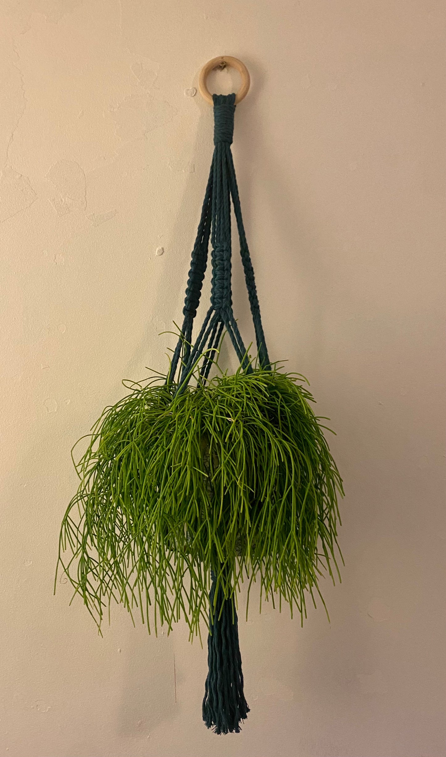 Teal Macramé Plant Hanger