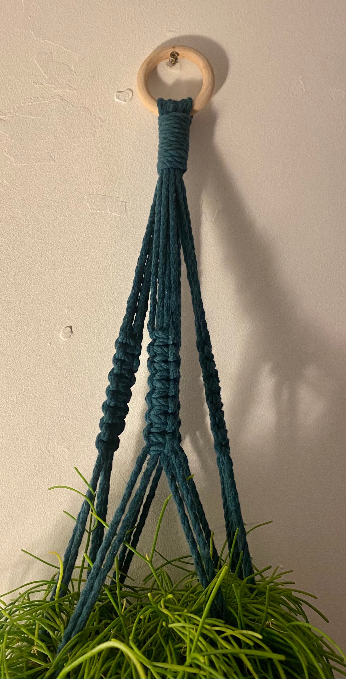 Teal Macramé Plant Hanger