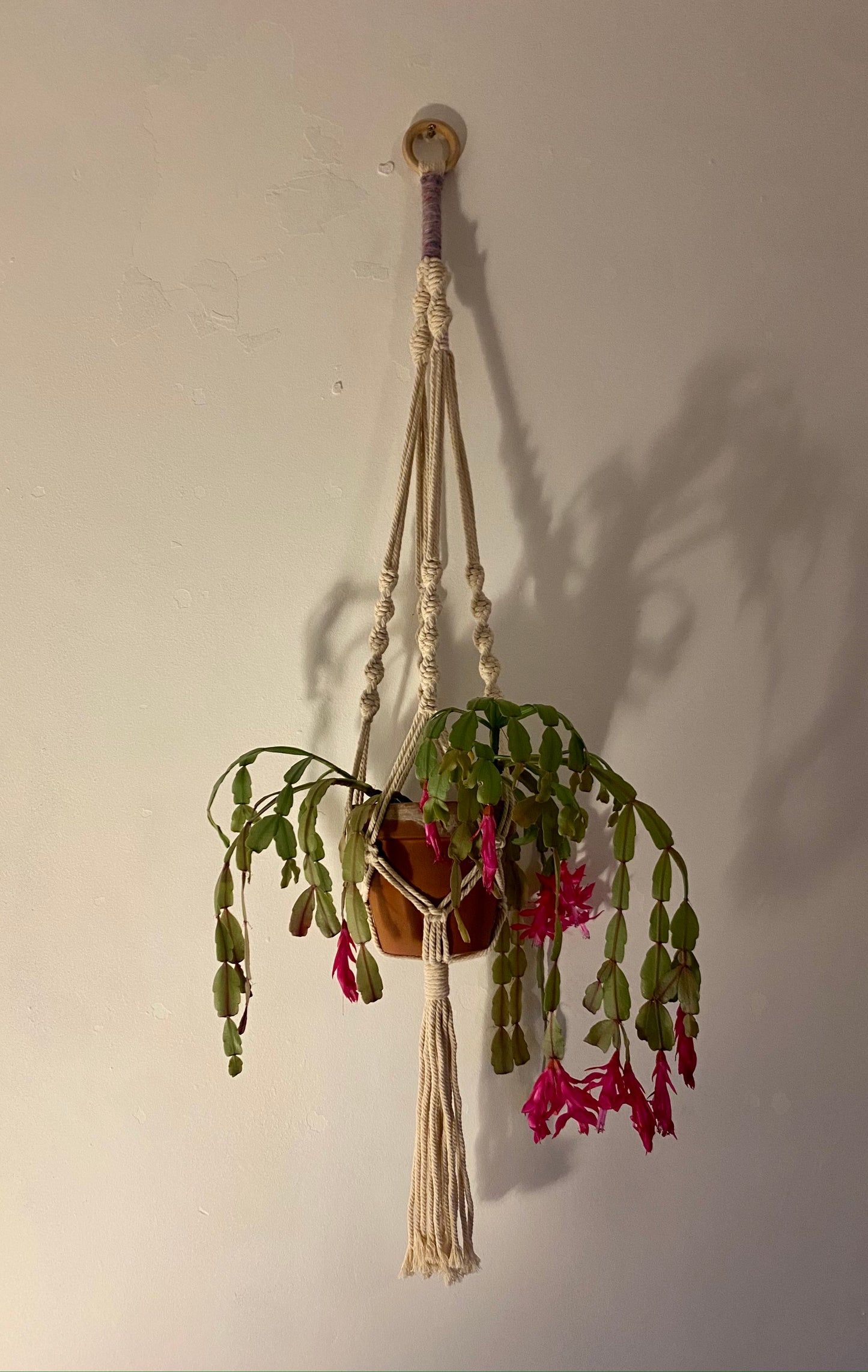 Macramé Plant Hanger