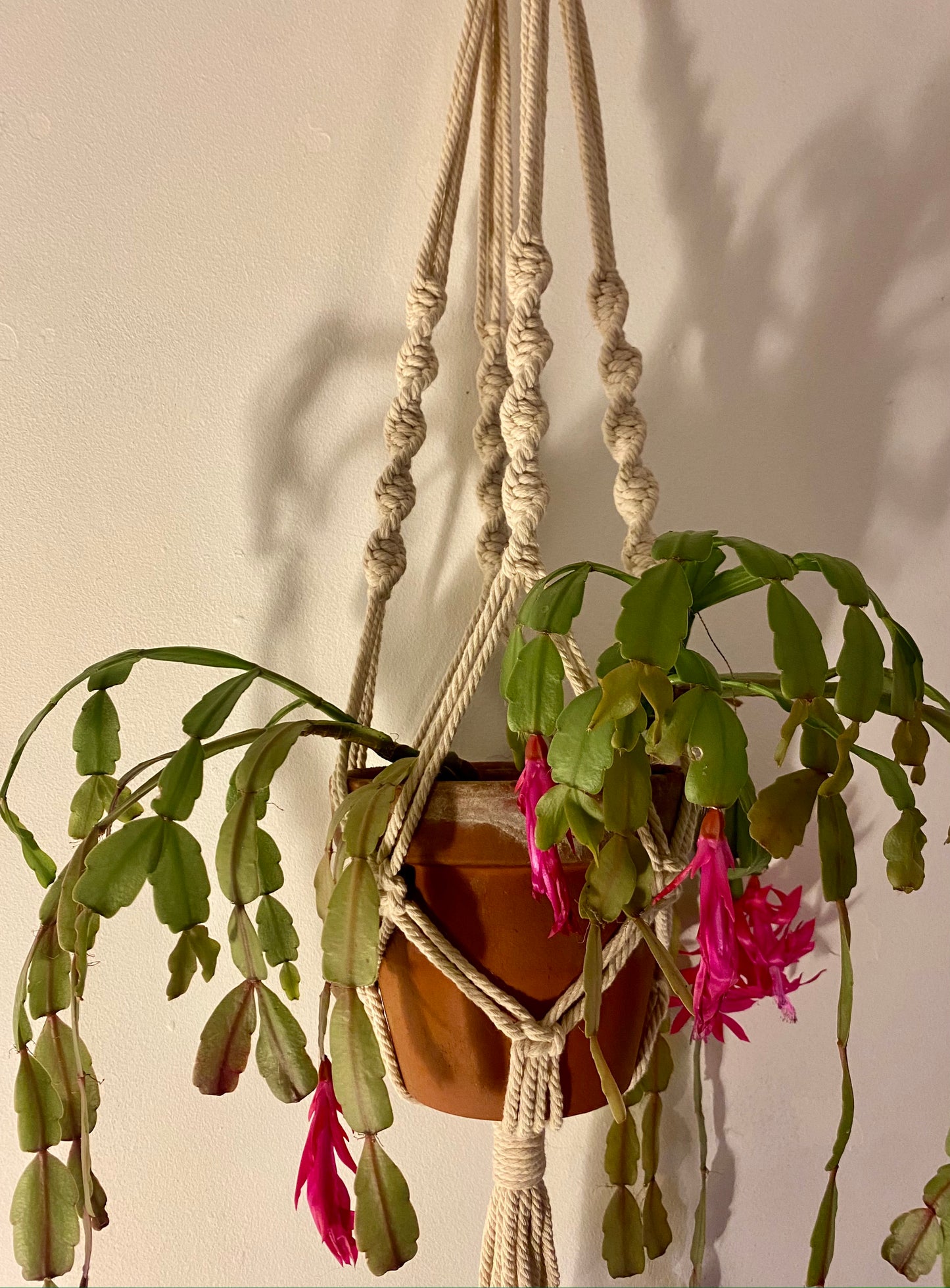Macramé Plant Hanger