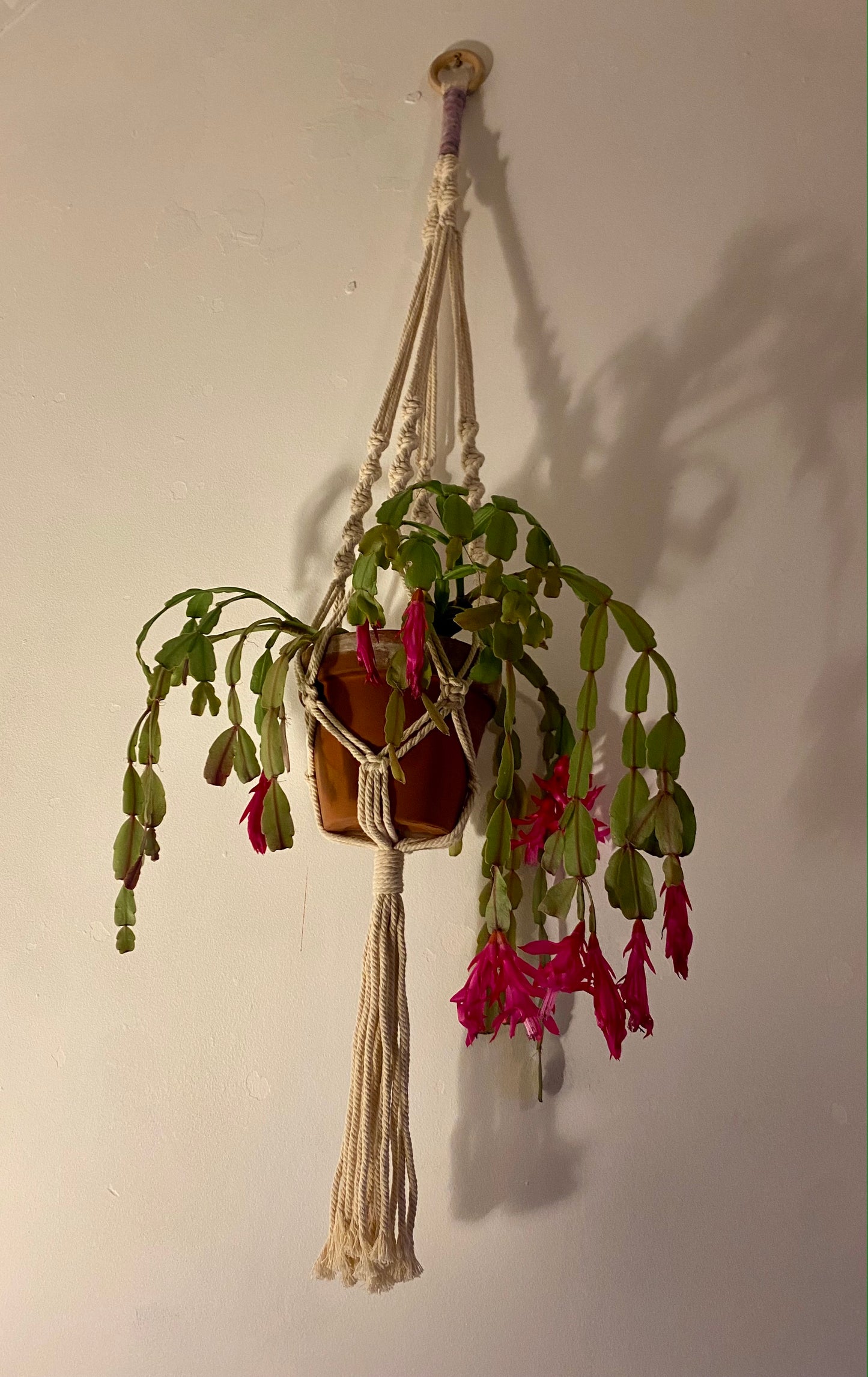 Macramé Plant Hanger